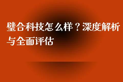 璧合科技怎么样?深度解析与全面评估_理财问答_第1张_财经百问网 璧合科技怎么样?深度解析与全面评估_https://cj001.lansai.wang_理财问答_第1张