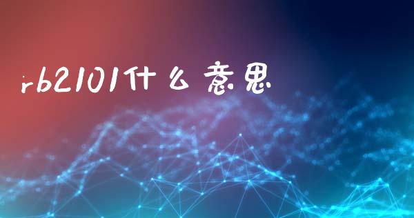 rb2101什么意思_https://cj001.lansai.wang_会计问答_第1张
