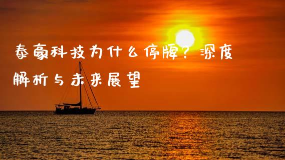 泰豪科技为什么停牌？深度解析与未来展望_https://cj001.lansai.wang_期货问答_第1张