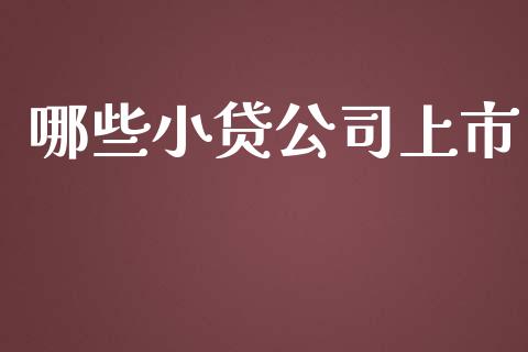 哪些小贷公司上市_https://cj001.lansai.wang_股市问答_第1张