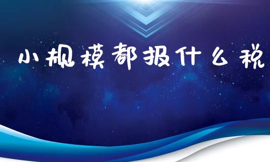 小规模都报什么税_https://cj001.lansai.wang_会计问答_第1张