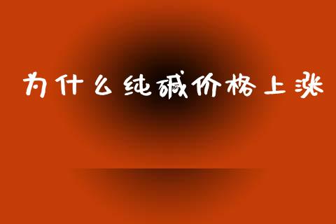为什么纯碱价格上涨_https://cj001.lansai.wang_期货问答_第1张