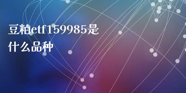 豆粕etf159985是什么品种_https://cj001.lansai.wang_期货问答_第1张