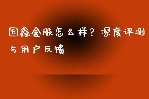 国鑫金服怎么样？深度评测与用户反馈_https://cj001.lansai.wang_理财问答_第1张
