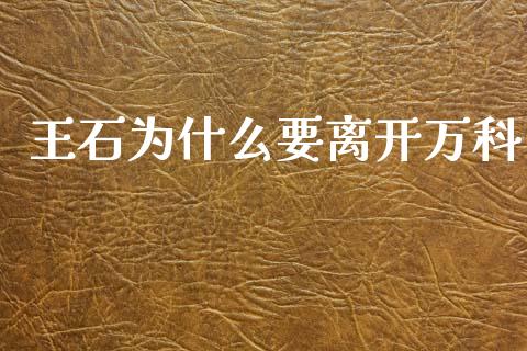王石为什么要离开万科_https://cj001.lansai.wang_金融问答_第1张