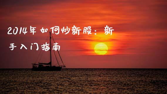 2014年如何炒新股：新手入门指南_https://cj001.lansai.wang_会计问答_第1张