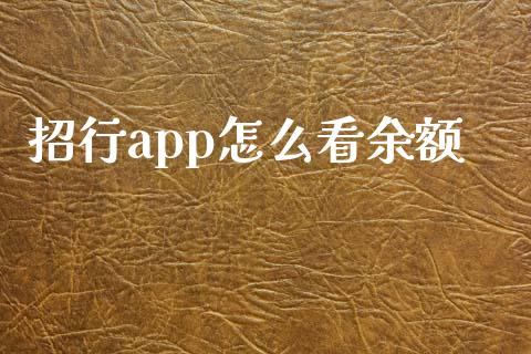 招行app怎么看余额_https://cj001.lansai.wang_金融问答_第1张