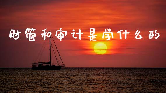 财管和审计是学什么的_https://cj001.lansai.wang_会计问答_第1张