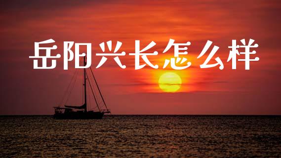 岳阳兴长怎么样_https://cj001.lansai.wang_财经百问_第1张