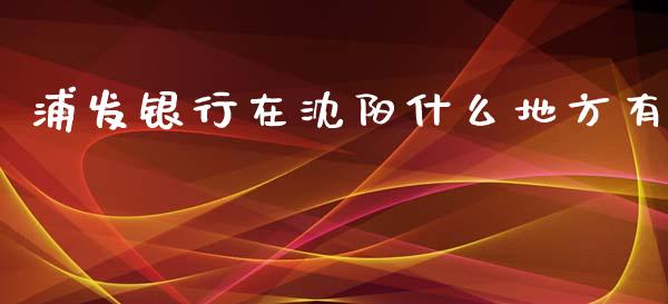 浦发银行在沈阳什么地方有_https://cj001.lansai.wang_金融问答_第1张