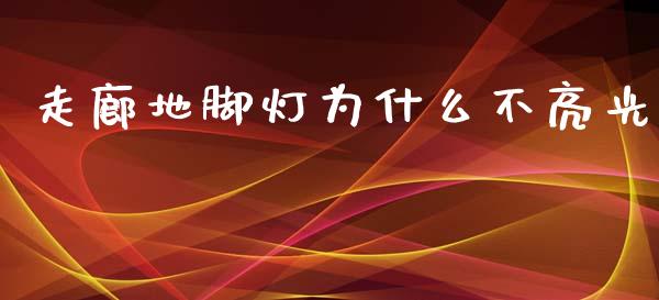 走廊地脚灯为什么不亮光_会计问答_第1张_财经百问网 走廊地脚灯为什么不亮光_https://cj001.lansai.wang_会计问答_第1张