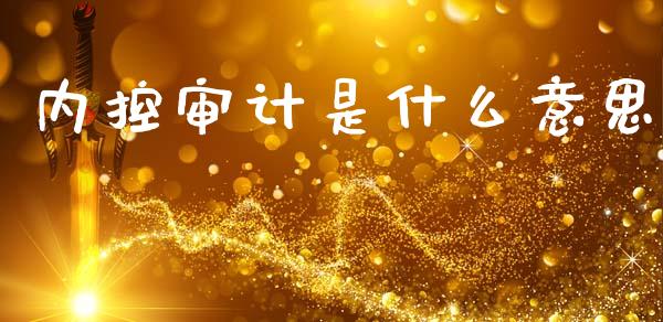 内控审计是什么意思_https://cj001.lansai.wang_会计问答_第1张