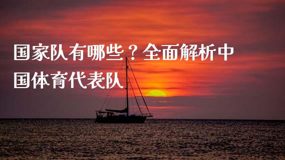 国家队有哪些？全面解析中国体育代表队_https://cj001.lansai.wang_理财问答_第1张