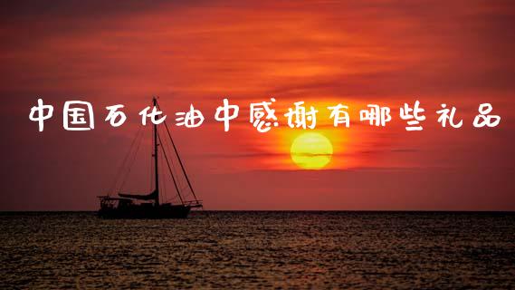 中国石化油中感谢有哪些礼品_https://cj001.lansai.wang_理财问答_第1张
