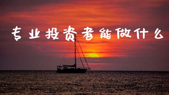 专业投资者能做什么_https://cj001.lansai.wang_保险问答_第1张