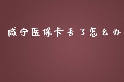 咸宁医保卡丢了怎么办_https://cj001.lansai.wang_保险问答_第1张
