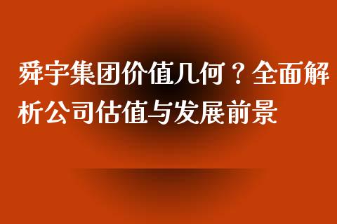 舜宇集团价值几何？全面解析公司估值与发展前景_https://cj001.lansai.wang_保险问答_第1张