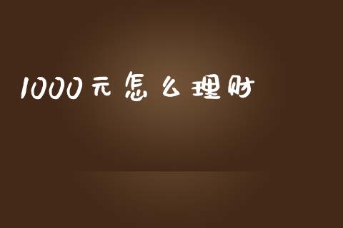 1000元怎么理财_https://cj001.lansai.wang_金融问答_第1张