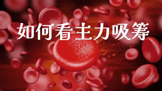 如何看主力吸筹_https://cj001.lansai.wang_财经问答_第1张