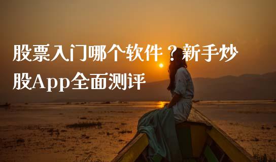 股票入门哪个软件？新手炒股App全面测评_https://cj001.lansai.wang_金融问答_第1张