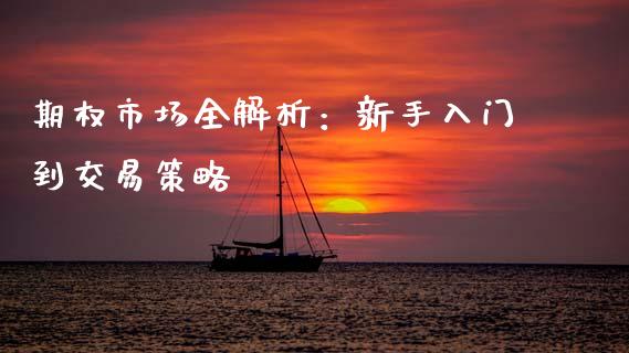 期权市场全解析：新手入门到交易策略_https://cj001.lansai.wang_财经问答_第1张
