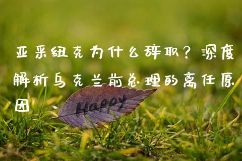 亚采纽克为什么辞职？深度解析乌克兰前总理的离任原因_https://cj001.lansai.wang_财经百问_第1张