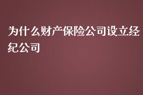 为什么财产保险公司设立经纪公司_https://cj001.lansai.wang_财经百问_第1张