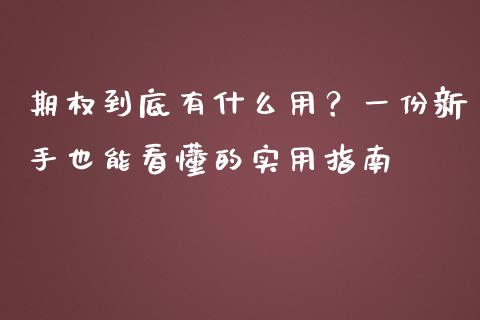 期权到底有什么用？一份新手也能看懂的实用指南_https://cj001.lansai.wang_财经百问_第1张
