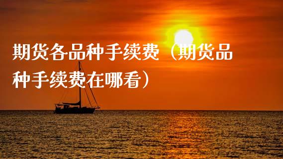 期货各品种手续费(期货品种手续费在哪看)_保险问答_第1张_财经百问网 期货各品种手续费(期货品种手续费在哪看)_https://cj001.lansai.wang_保险问答_第1张