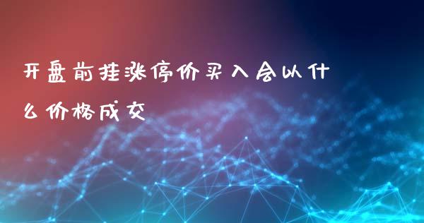 开盘前挂涨停价买入会以什么价格成交_https://cj001.lansai.wang_金融问答_第1张