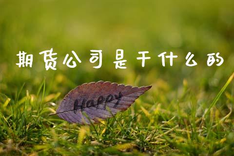 期货公司是干什么的_https://cj001.lansai.wang_股市问答_第1张