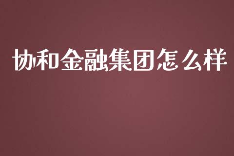 协和金融集团怎么样_https://cj001.lansai.wang_股市问答_第1张