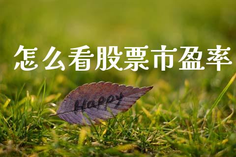 怎么看股票市盈率_https://cj001.lansai.wang_财经百问_第1张