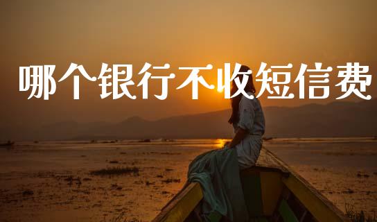 哪个银行不收短信费_https://cj001.lansai.wang_理财问答_第1张
