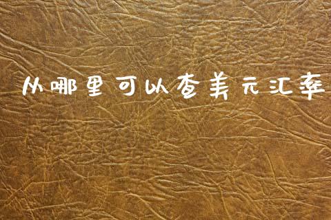 从哪里可以查美元汇率_https://cj001.lansai.wang_财经问答_第1张