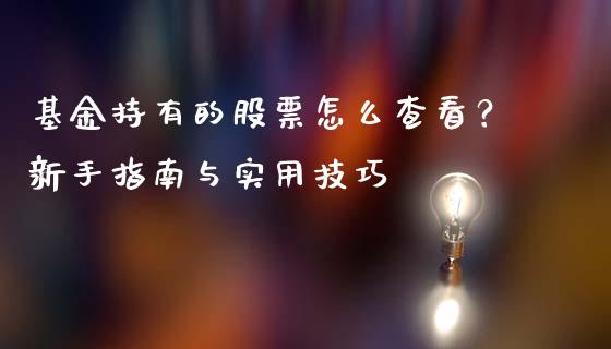 基金持有的股票怎么查看？新手指南与实用技巧_https://cj001.lansai.wang_股市问答_第1张