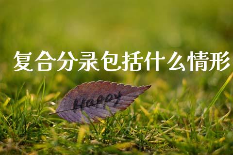 复合分录包括什么情形_https://cj001.lansai.wang_会计问答_第1张