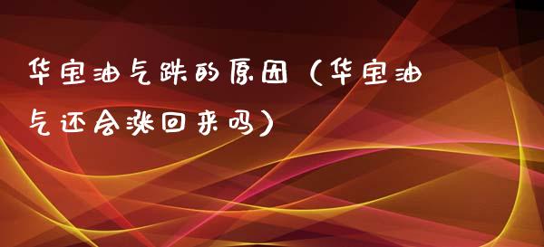 华宝油气跌的原因（华宝油气还会涨回来吗）_https://cj001.lansai.wang_财经百问_第1张