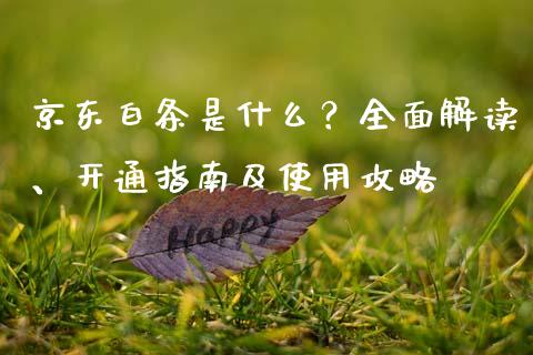 京东白条是什么？全面解读、开通指南及使用攻略_https://cj001.lansai.wang_期货问答_第1张