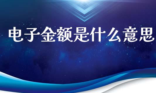 电子金额是什么意思_https://cj001.lansai.wang_期货问答_第1张