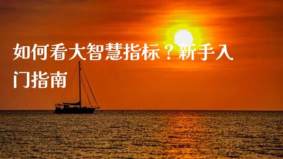 如何看大智慧指标？新手入门指南_https://cj001.lansai.wang_财经百问_第1张