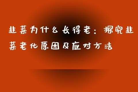 韭菜为什么长得老：探究韭菜老化原因及应对方法_https://cj001.lansai.wang_期货问答_第1张