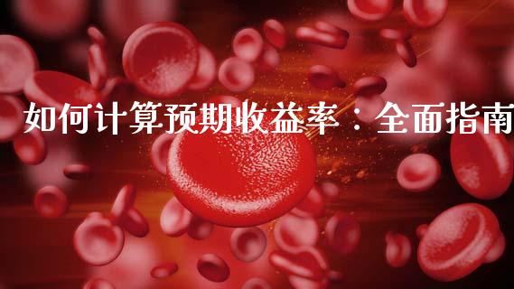 如何计算预期收益率：全面指南_https://cj001.lansai.wang_保险问答_第1张