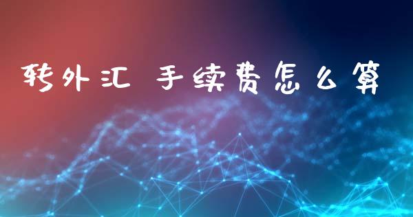 转外汇 手续费怎么算_https://cj001.lansai.wang_财经问答_第1张