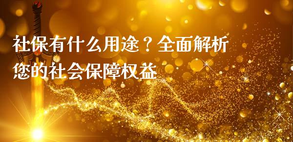 社保有什么用途？全面解析您的社会保障权益_https://cj001.lansai.wang_金融问答_第1张