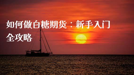 如何做白糖期货：新手入门全攻略_https://cj001.lansai.wang_会计问答_第1张