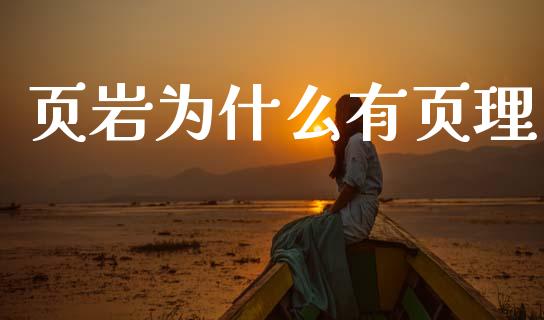 页岩为什么有页理_https://cj001.lansai.wang_股市问答_第1张