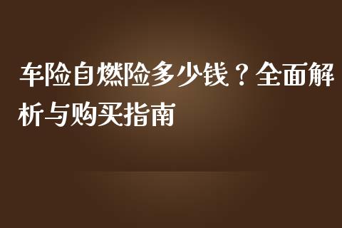 车险自燃险多少钱？全面解析与购买指南_https://cj001.lansai.wang_期货问答_第1张