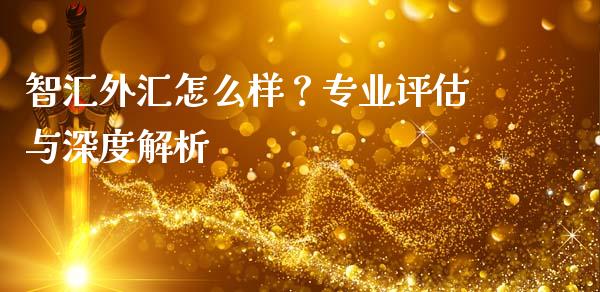 智汇外汇怎么样？专业评估与深度解析_https://cj001.lansai.wang_财经百问_第1张