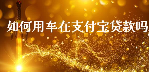 如何用车在支付宝贷款吗_https://cj001.lansai.wang_理财问答_第1张